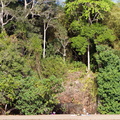 Mayotte-2011-111